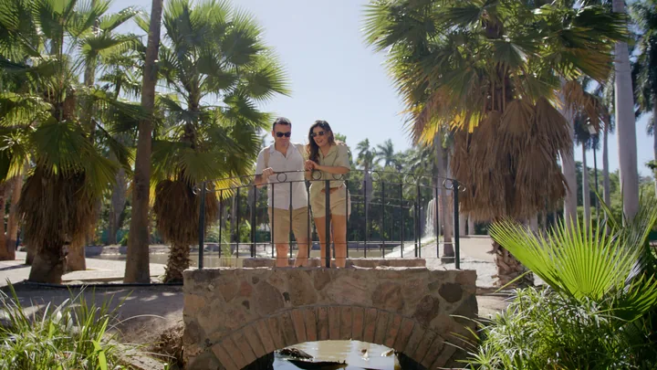 Puente del Jardín Botánico entre la vegetación